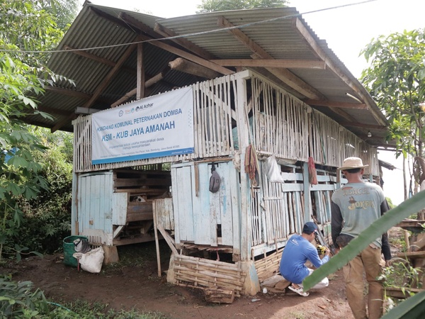 Aktivitas perawatan di area kandang komunal