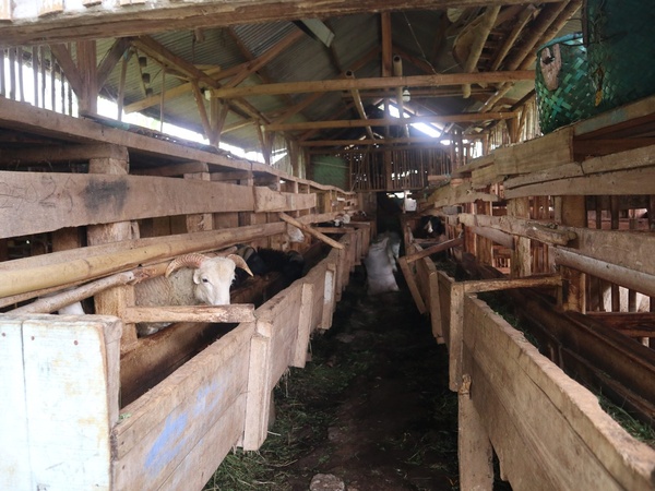 Lorong kandang komunal dari dalam