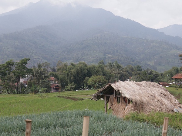 Lanskap Desa Mekarjaya, Pacet, di sekitar lokasi kandang