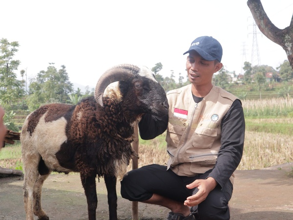 Pendampingan pengelolaan ternak di lokasi