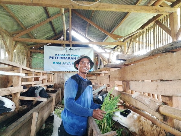 Wakaf Produktif Peternakan Domba